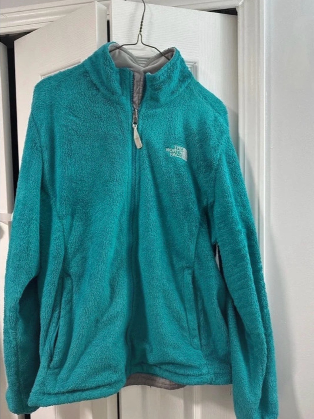 The North Face Teal Plush Fleece Jacket